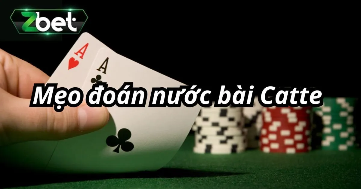 Lưu &yacute; khi chọn game b&agrave;i catte