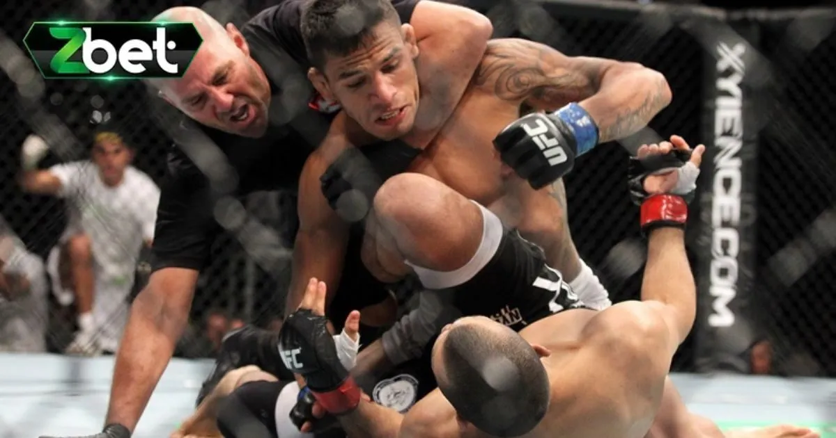 Mẹo chơi c&aacute; cược MMA đẳng cấp nhất hiện nay
