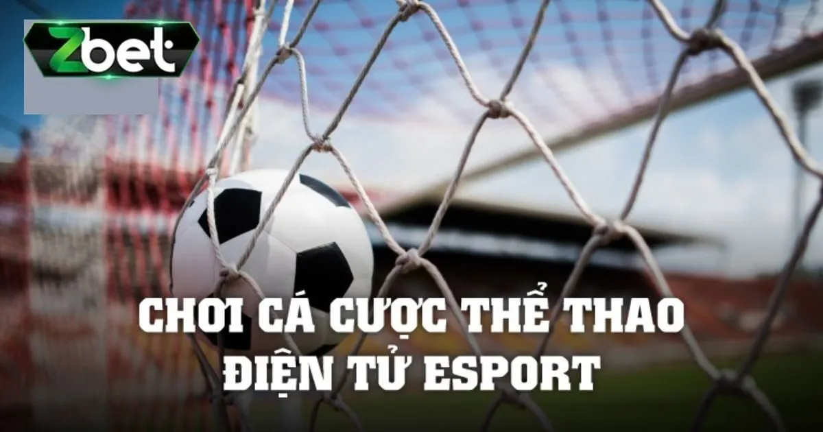 Mẹo c&aacute; cược eSports thắng lớn cho t&acirc;n thủ